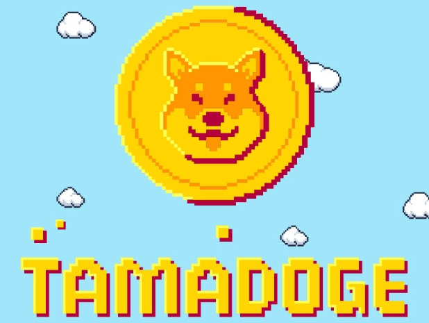 「tokenpocket注册教学」Tamadoge 今天推出 1,000 个新的稀有 NFT - 2022 年最佳 NFT 下降? 「tokenpocket注册教学」Tamadoge 今天推出 1,000 个新的稀有 NFT - 2022 年最佳 NFT 下降?
